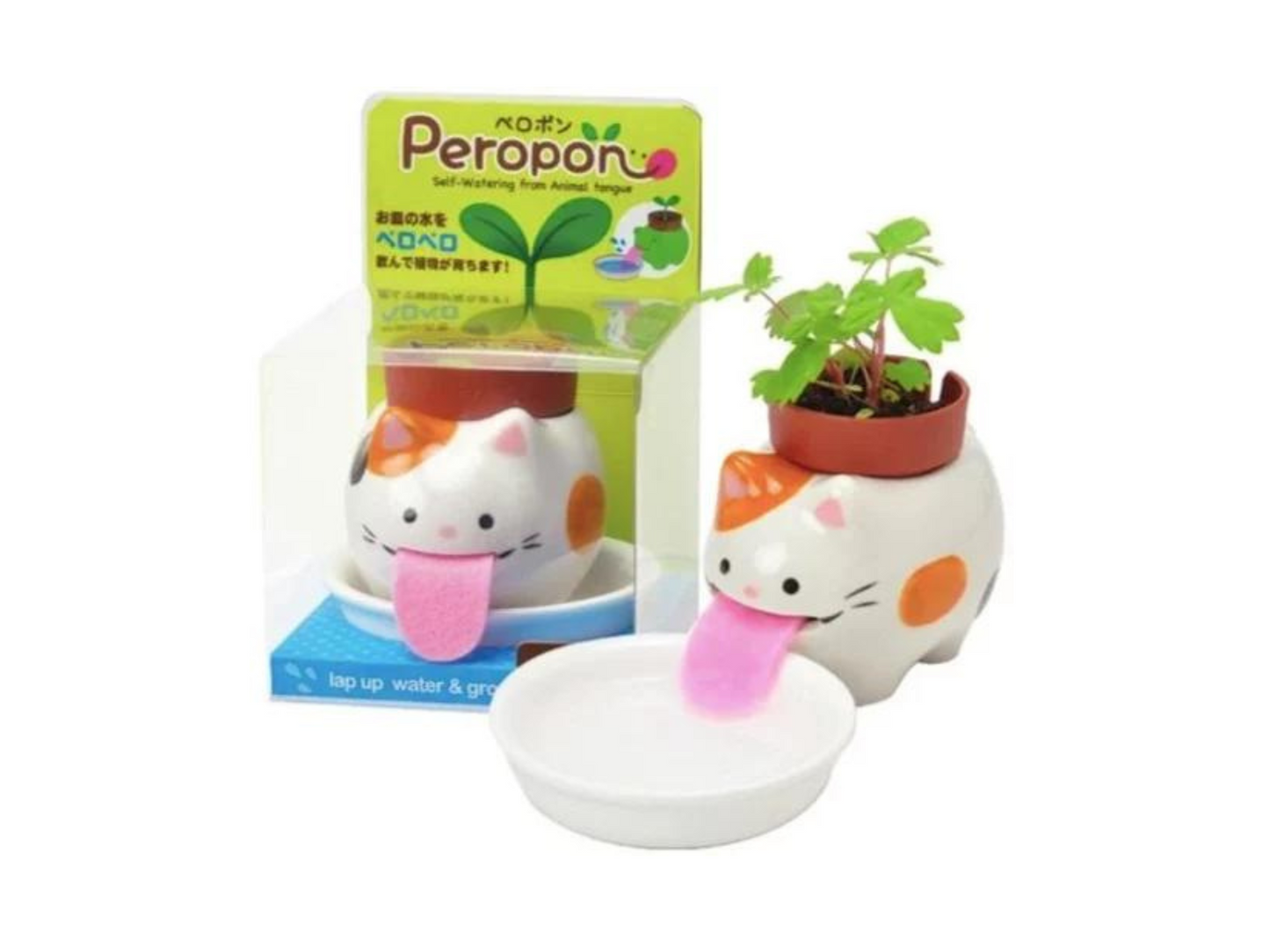 Les Peropons - Petits Animaux d'Auto-Arrosage et leurs Herbes Aromatiques - Chat