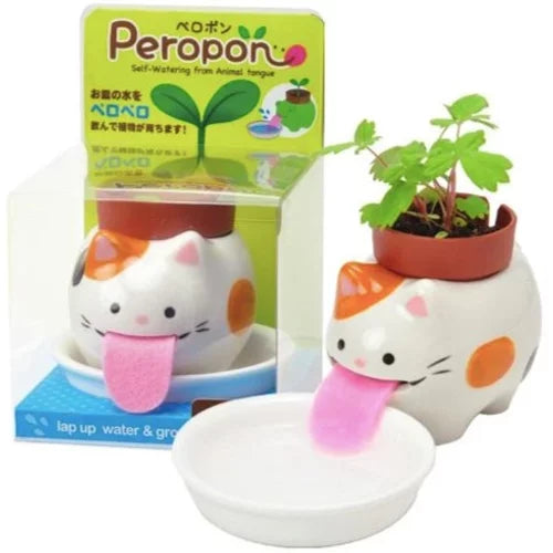 Les Peropons - Petits Animaux d'Auto-Arrosage et leurs Herbes Aromatiques - Chat